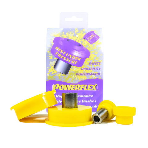 Renault Clio Models Dog Bone Engine Mount Bush Kit  PFF60-206K