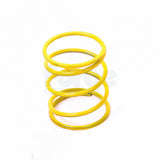 Dump Valve Spring (Single)
