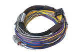 Haltech Elite 750 + Basic Universal Wire-in Harness Kit 2.5m (8') HT-150602