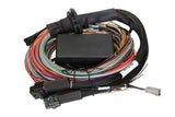 Haltech Elite 1500 + Premium Universal Wire-in Harness Kit 2.5m (8') HT-150904