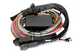 Haltech Elite 2500 + Premium Universal Wire-in Harness Kit 2.5m (8') HT-151304