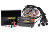 Haltech Nexus R5 + Universal Wire-in Harness Kit HT-195200