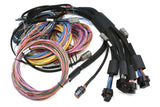 Haltech Nexus R5 + Universal Wire-in Harness Kit HT-195200