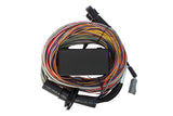 Haltech Elite 750 + Premium Universal Wire-in Harness Kit 2.5m (8') HT-150604